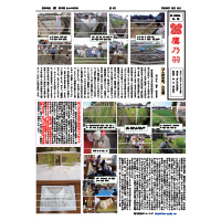 鷹の羽6号 鷹の羽6号