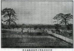 新庄尋常高等小学校運動場沿革より