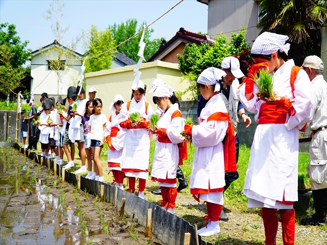 田んぼ学校お田植え祭