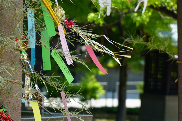 七夕様・短冊設営