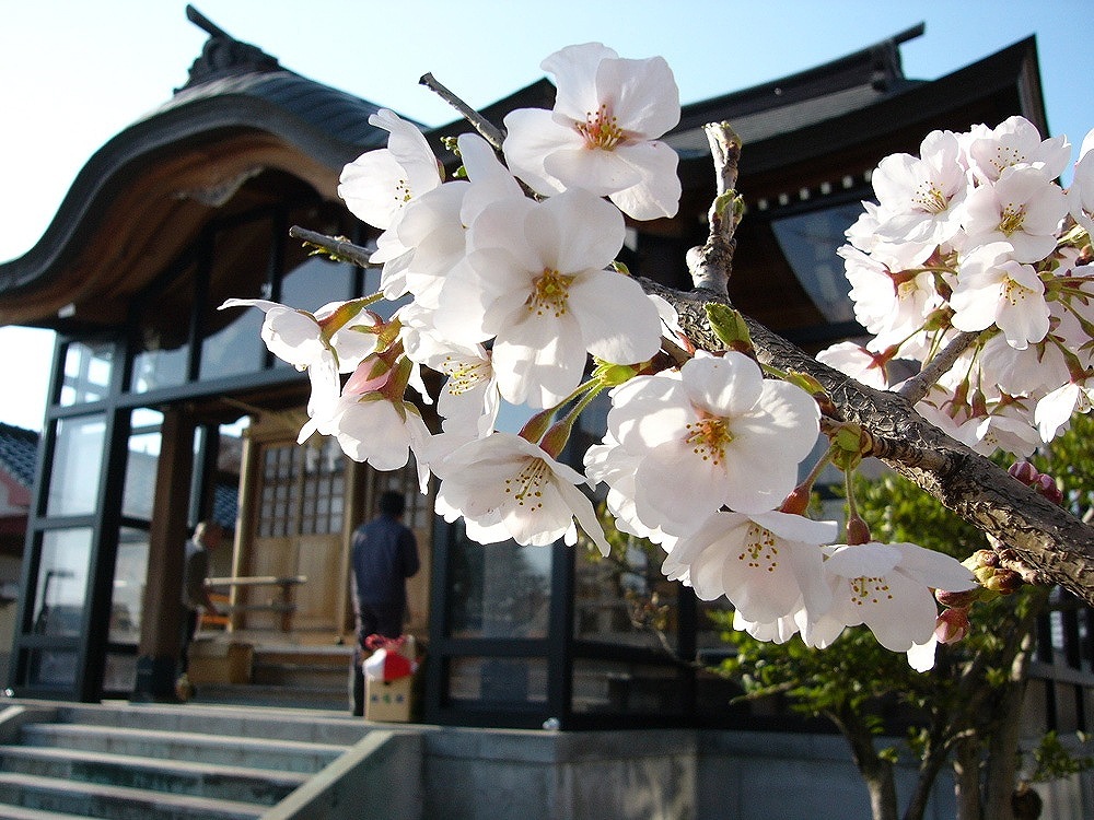 天正寺神明宮は維持費困難のため大正12年11月14日に少彦名社に合祀